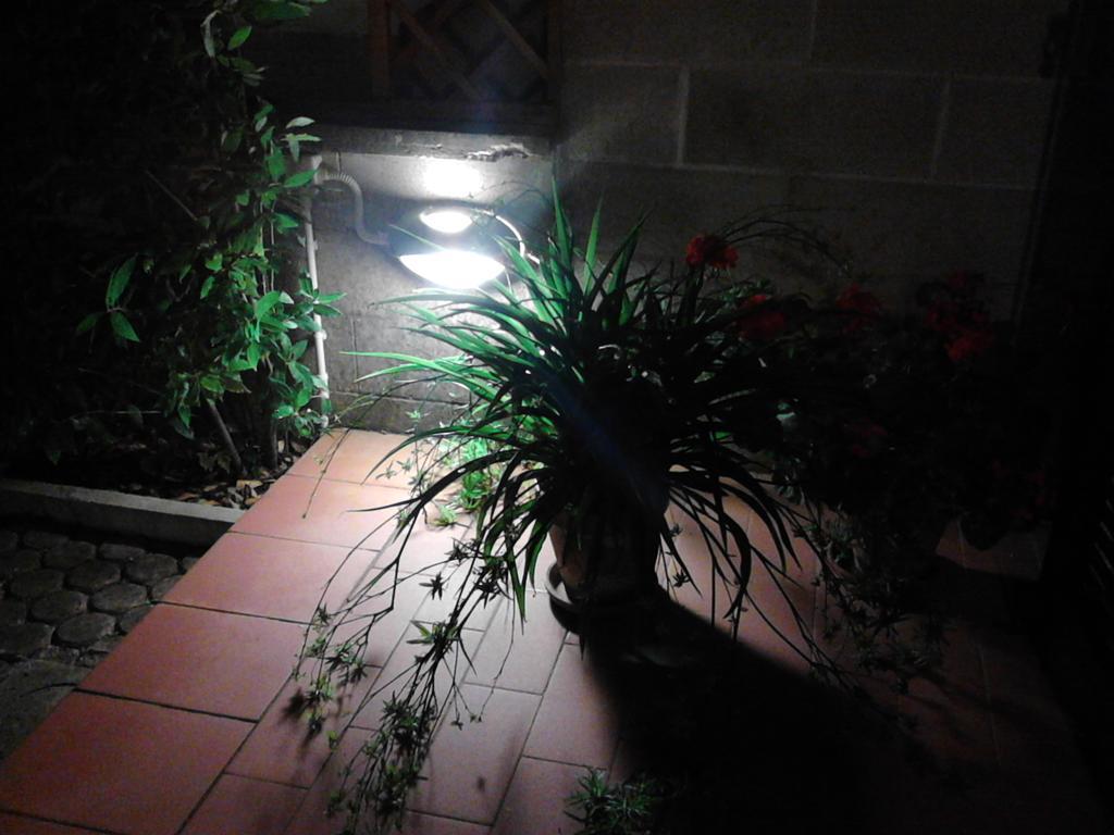 Bed And Breakfast Catherina Ponsacco Extérieur photo