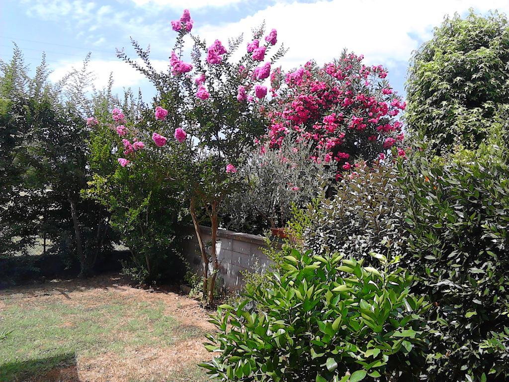 Bed And Breakfast Catherina Ponsacco Extérieur photo